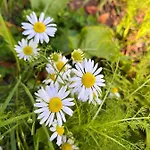 Hébergement de vacances Le Marguerite - Calvados : Vue Panoramique Sur La Normandie *