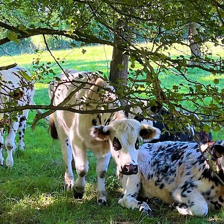 Feriehus Le Marguerite Calvados I Vue Panoramique Sur La Normandie Face Au Cerza Hermival-les-Vaux