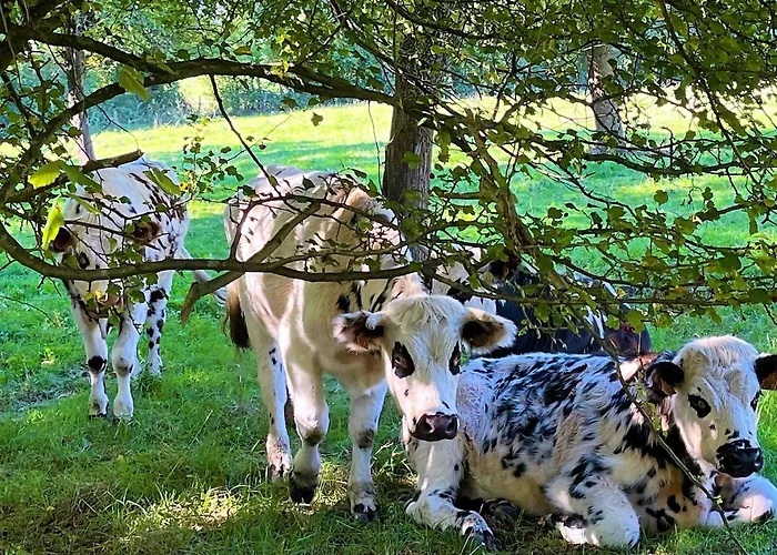 Prázdninový dům Le Marguerite Calvados I Vue Panoramique Sur La Normandie Face Au Cerza Hermival-les-Vaux